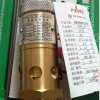 供應A28X-16T DN25安全閥