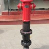 供應(yīng)重慶地上式消防水泵接合器
