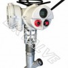 進口電動Y型截止閥-德國萊克品牌